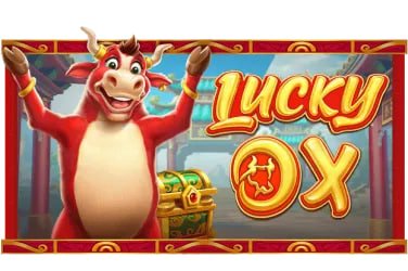 74bet9